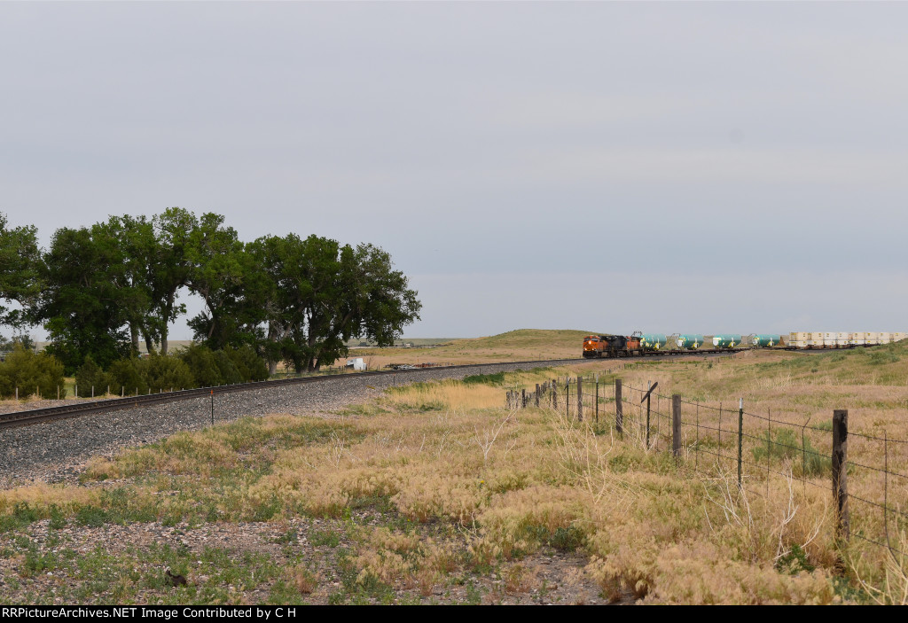 BNSF 8009/NS 8103/BNSF 5685